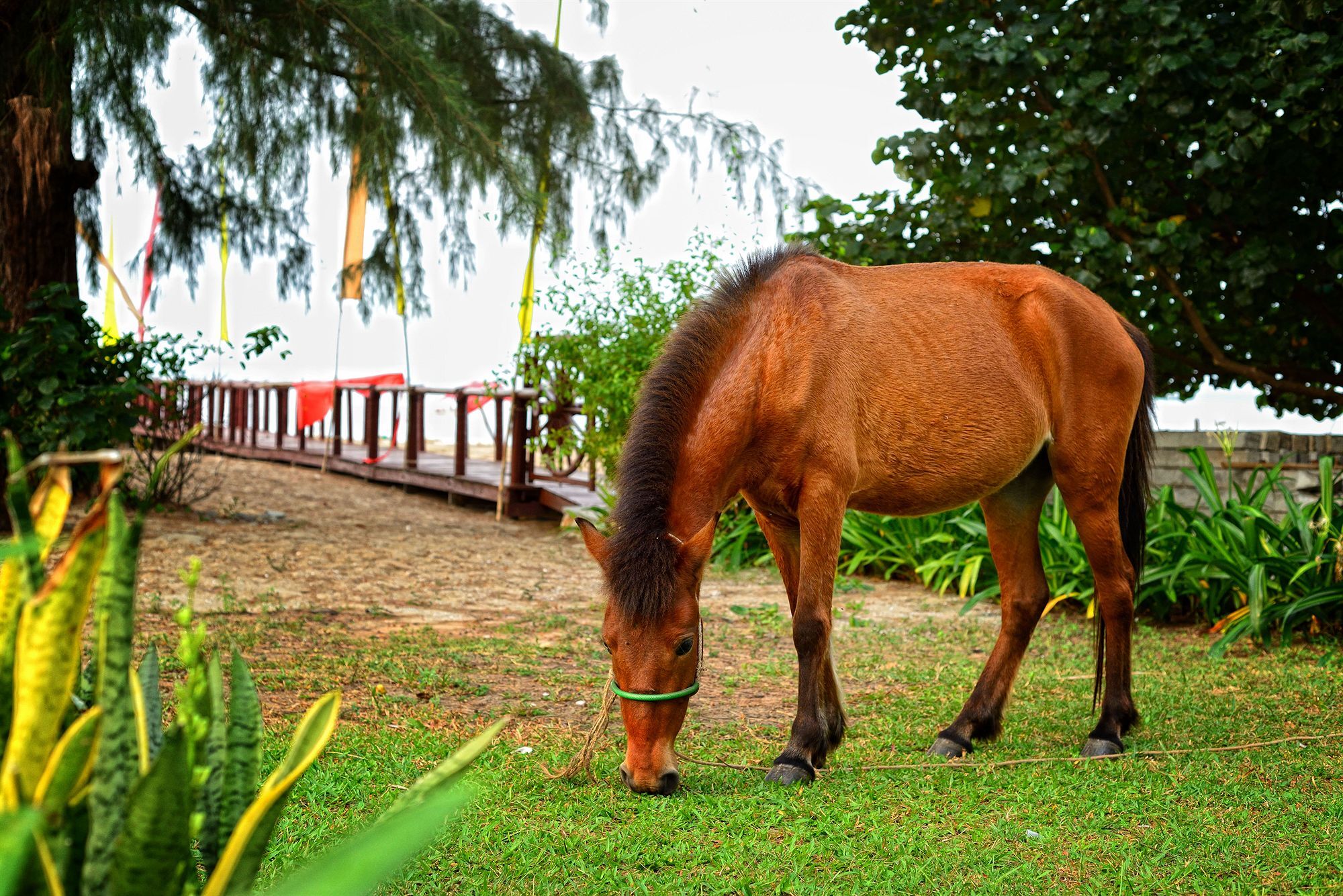 Nataya Round House Coral Bay Resort Kampot Kültér fotó